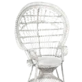 Rental of white Rattan peacock chair for events
