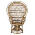 Rental of stained Rattan peacock chair for events