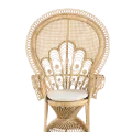Rattan peacock chair rental for events