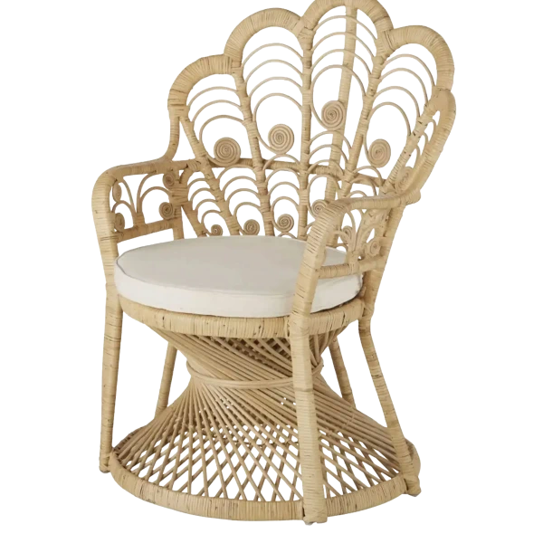 Location de trone en rotin enfant/adulte pour événements